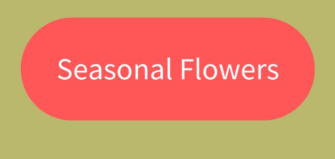 Click to view our beautiful seasonal bouquets