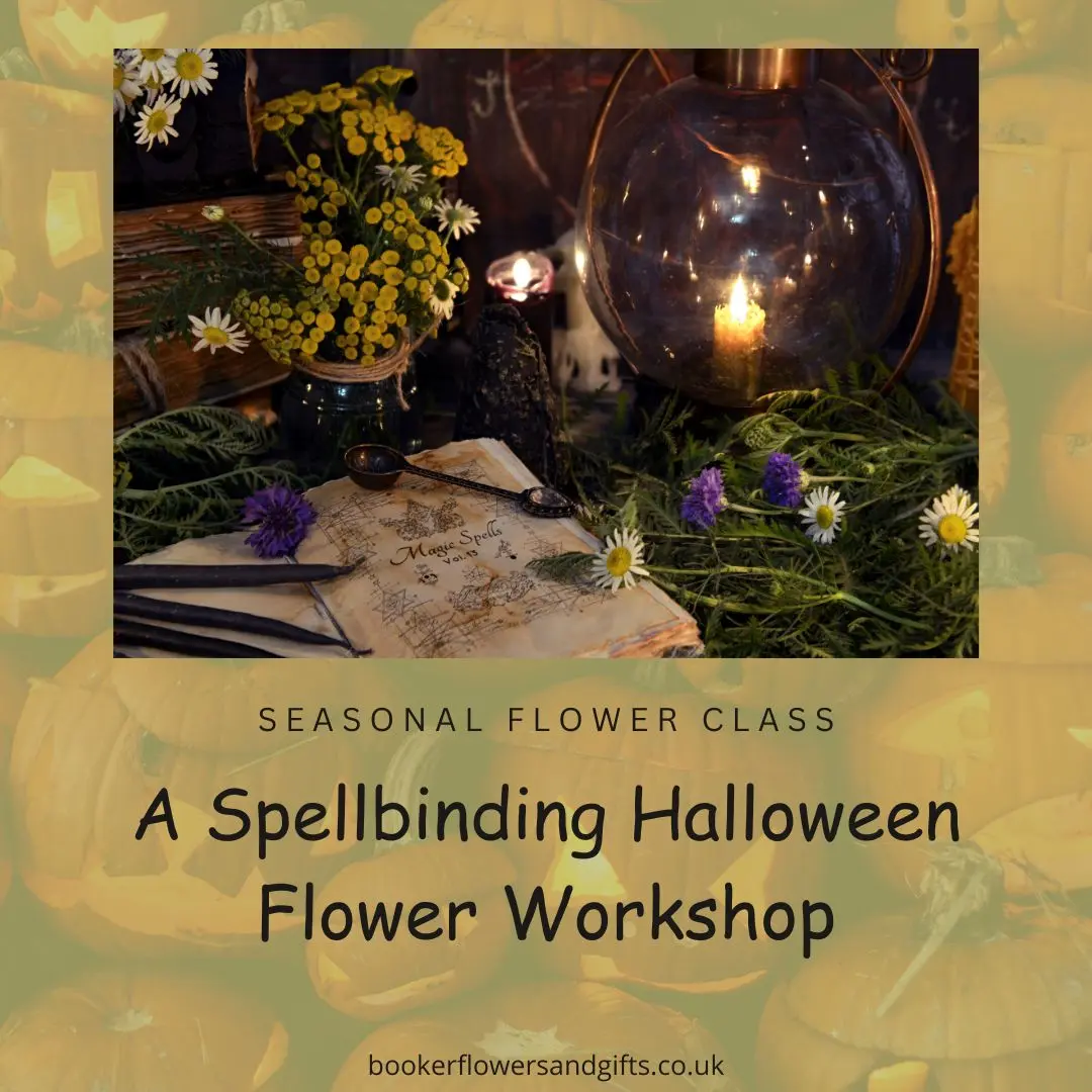 Expect an evening of floral wizardry as we weave together seasonal flowers, botanicals, and natural materials to create beautiful broomsticks worthy of any good witch's haven.
