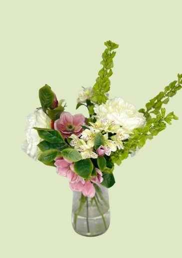 Booker Flowers and Gifts Beautician Mollucella