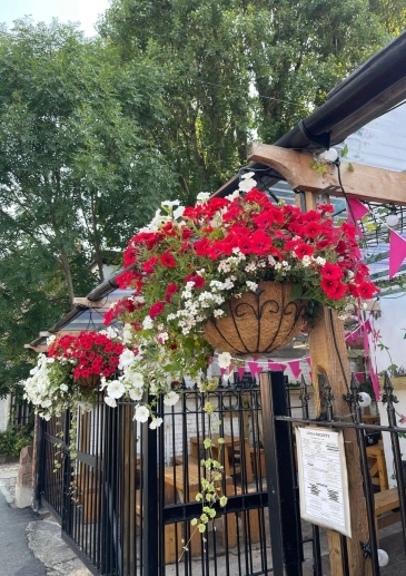 Best Florist Booker Flowers and Gifts Love and Rockets