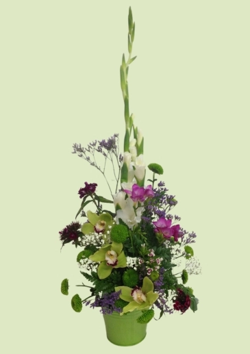 Booker Flowers and Gifs Car Dealership Cymbidium