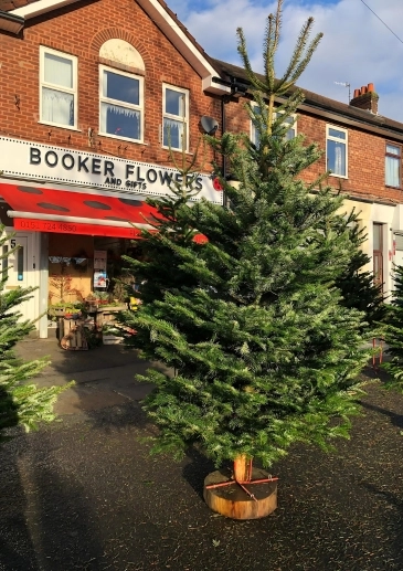 Trees Booker Flowers and Gifts Christmas Corporate