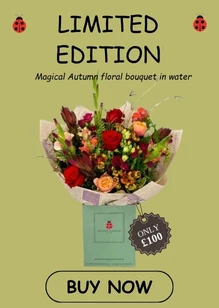 Large Rich Coloured Bouquet of Autumn Flowers £100 for Liverpool Delivery or Collection