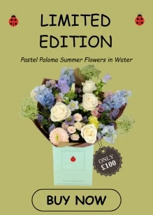 Large pretty Pastel Bouquet of Summery Flowers £100 for Liverpool Delivery or Collection
