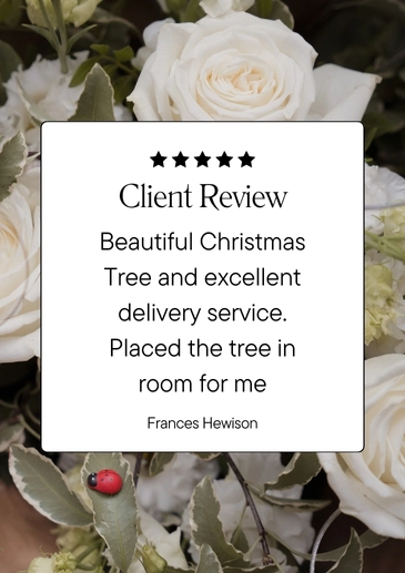 Christmas Google Review