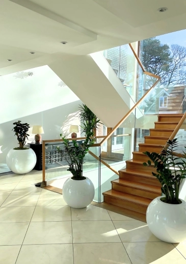 Indoor Planting Experts Liverpool