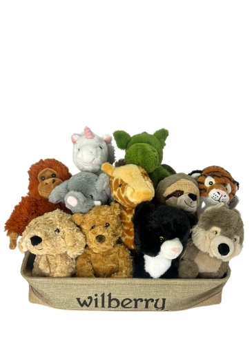 Booker Flowers and Gifts Liverpool Eco Cuddlies