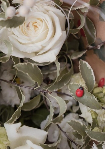 Booker Flowers and Gifts Liverpool Ladybird