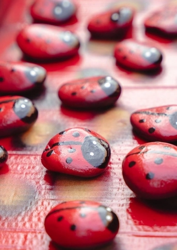 Booker Flowers and Gifts Liverpool Ladybird Pebbles