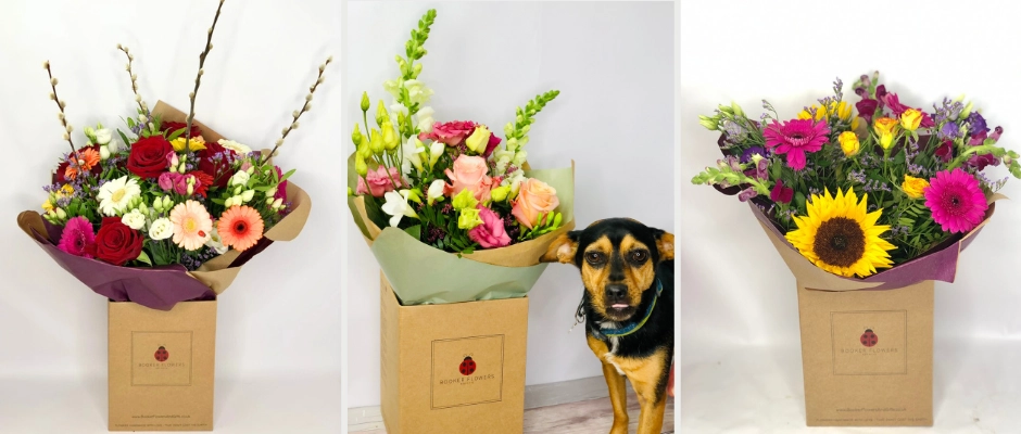 Pet Friendly Flowers from Booker Flowers