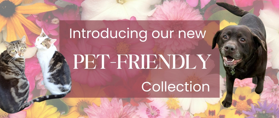 Order pet-friendly flowers from Booker Flowers and Gifts