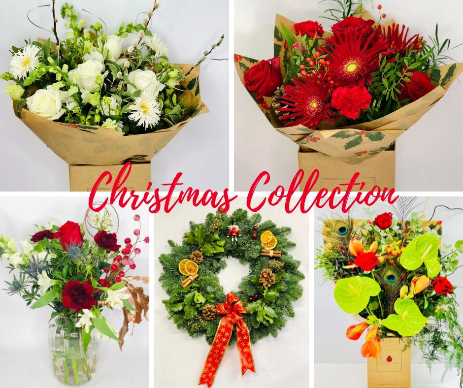 Christmas Flowers, Arrangements and more