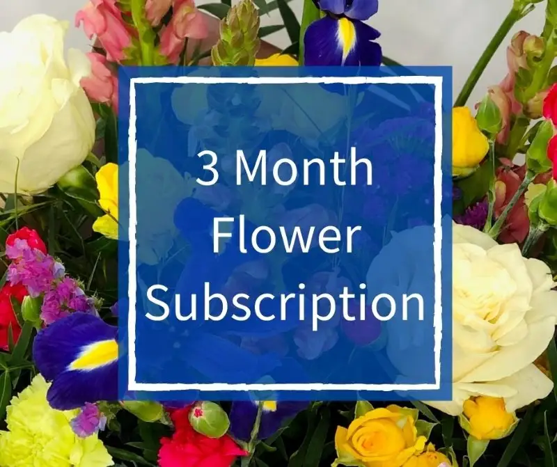 3 Month Flower Subscription Standard