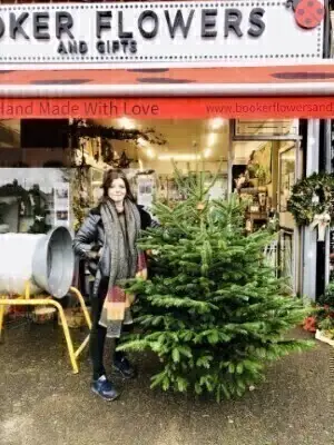 5 to 6 ft Christmas Tree Noordman Pine