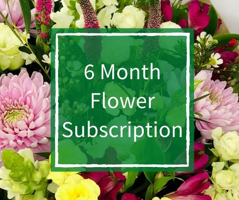 6 Month Flower Subscription Luxury