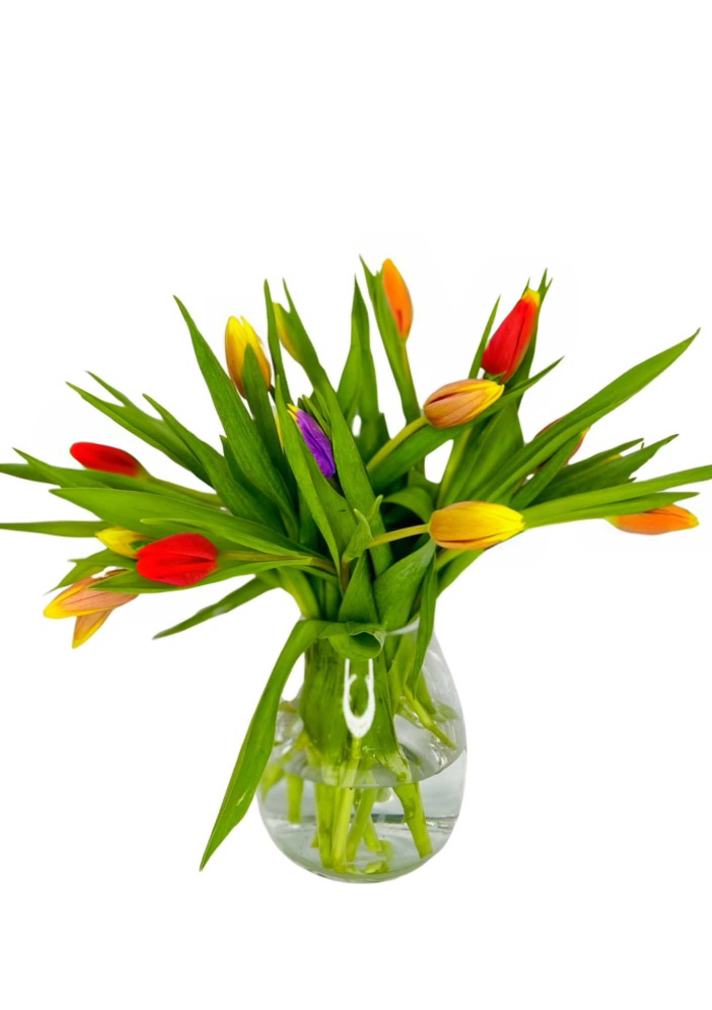 Candy Crush Vase of Spring Tulips
