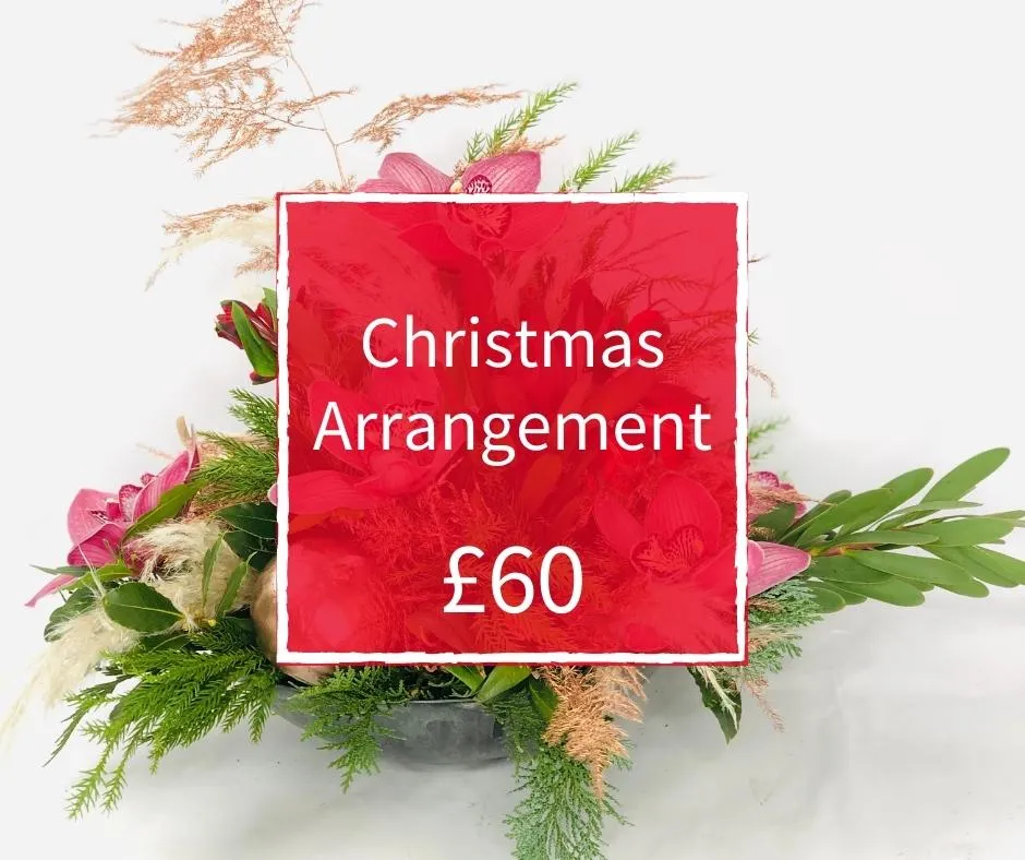 Christmas Florist Choice 60 - Arrangement