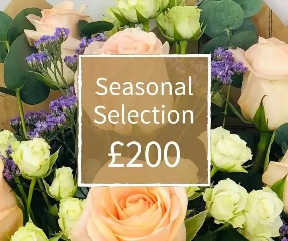 Florist Choice 200 - Seasonal Handtied Bouquet