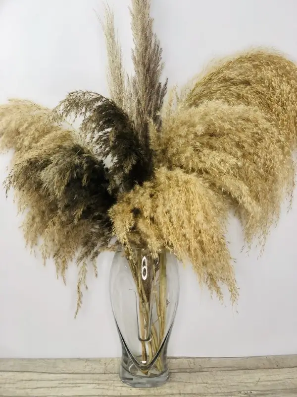 Perfect Simplicity Vase Of Pampas