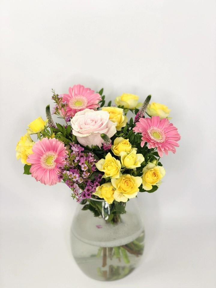 Pet Friendly Flowers in a Vase