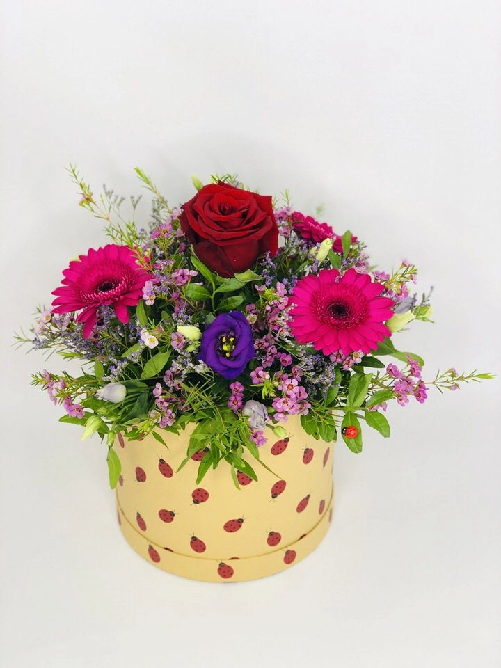 Pet Friendly Bright and Cheery Hatbox of Flowers