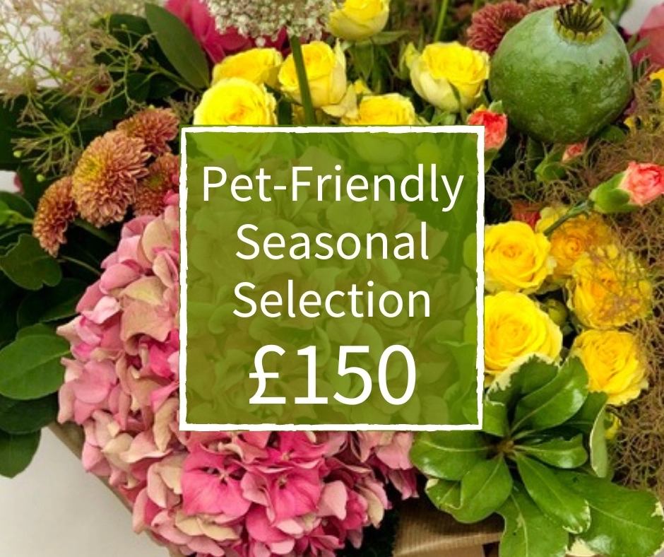 Pet Friendly Florist Choice 150 Handtied Bouquet