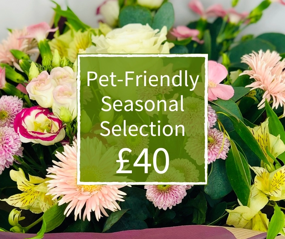 Pet Friendly Florist Choice 40 Handtied Bouquet