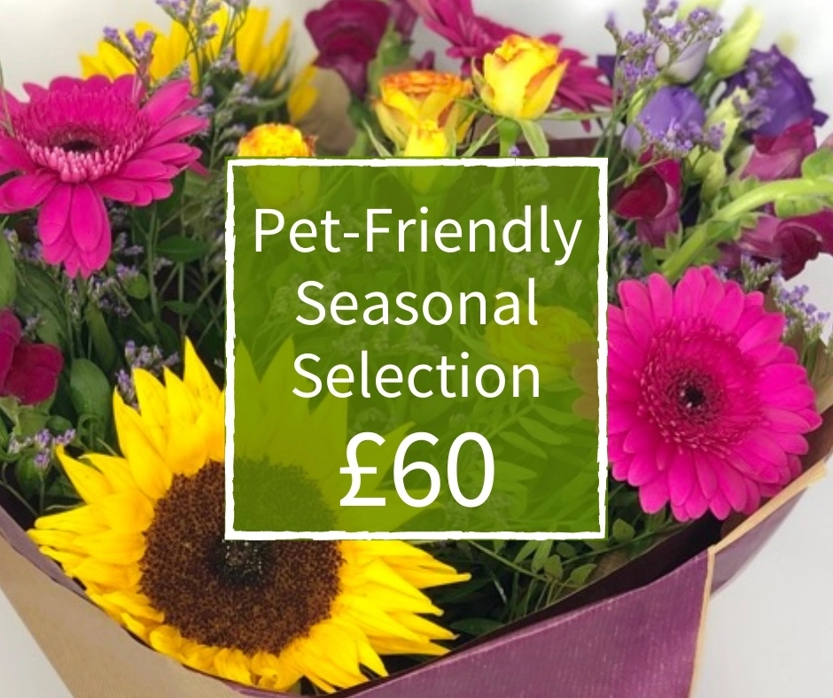 Pet Friendly Florist Choice 60 Handtied Bouquet