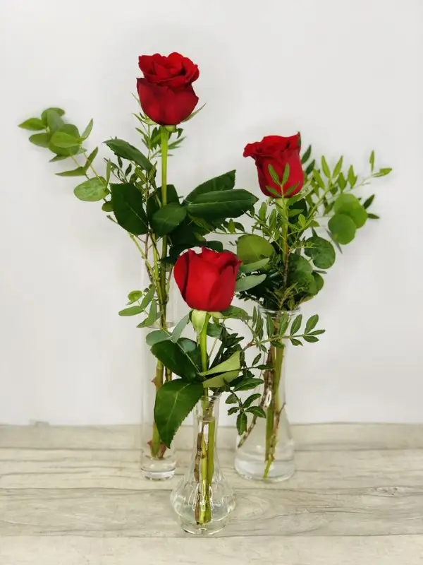 Red Rose Trio in Vases