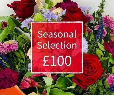 Valentines Florist Choice 100 - Seasonal Handtied