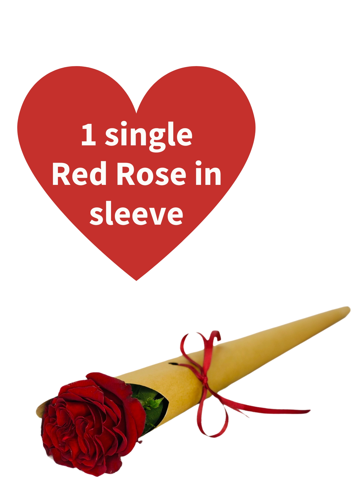 Valentines Single Red Rose