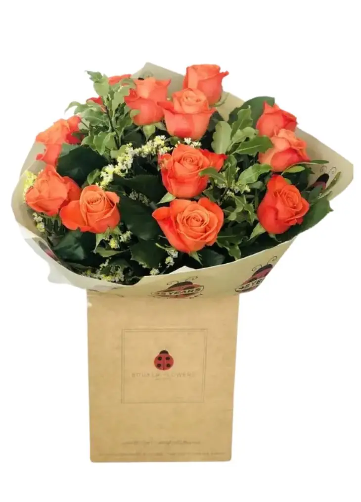 12 Orange Roses Handtied Bouquet 12 Orange Roses Handtied Bouquet