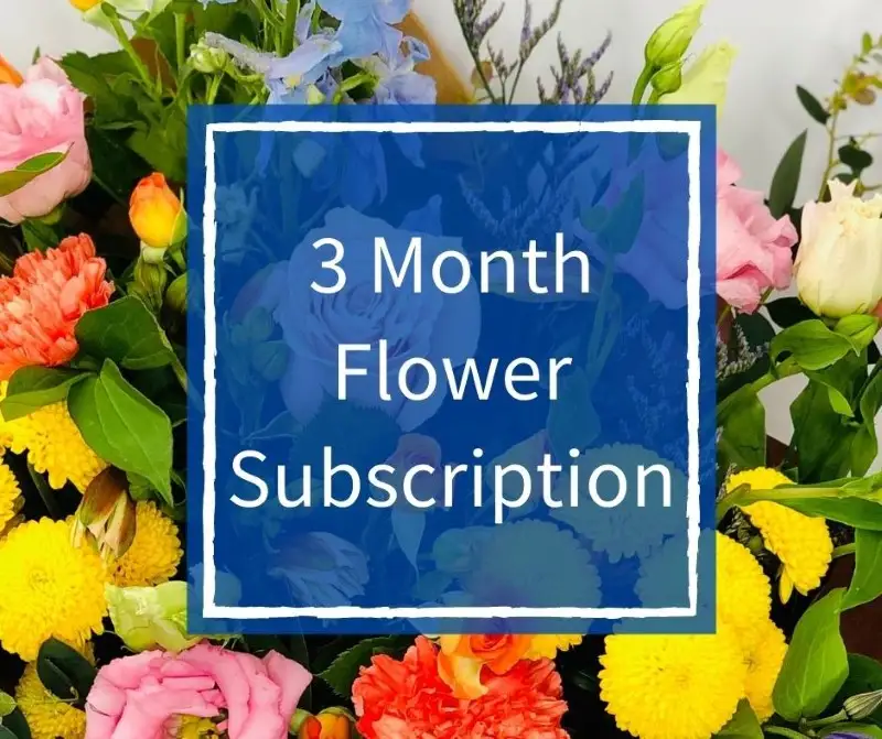 3 Month Flower Subscription Deluxe 3 Month Flower Subscription Deluxe