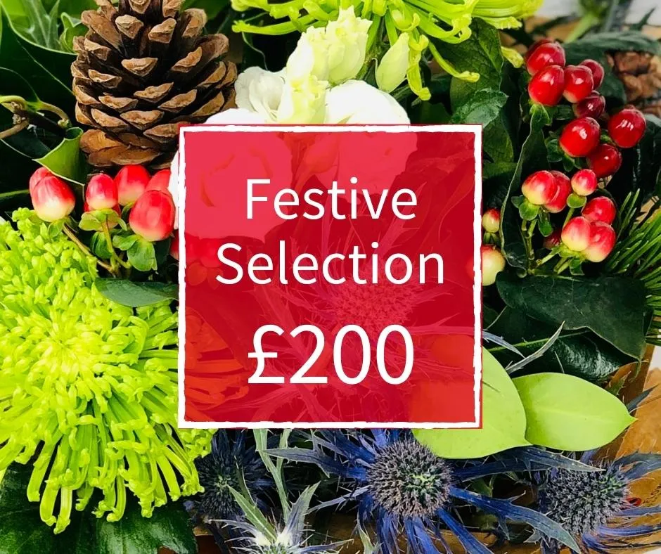 Christmas Florist Choice 200 - Seasonal Handtied Bouquet Christmas Florist Choice 200 - Seasonal Handtied Bouquet