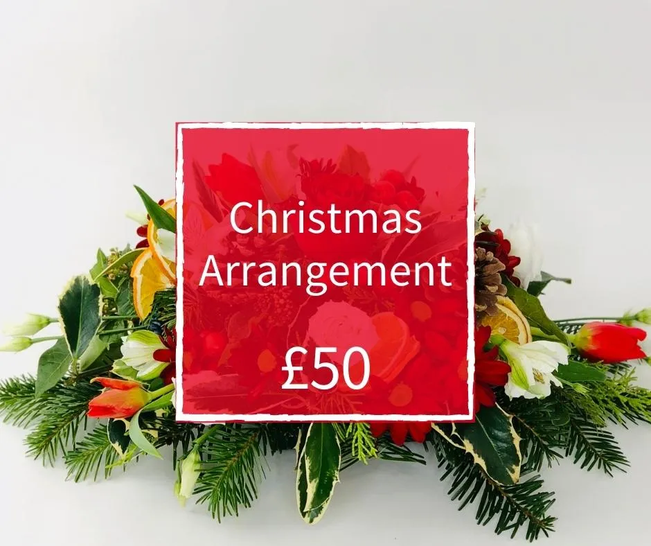 Christmas Florist Choice 50 - Arrangement Christmas Florist Choice 50 - Arrangement