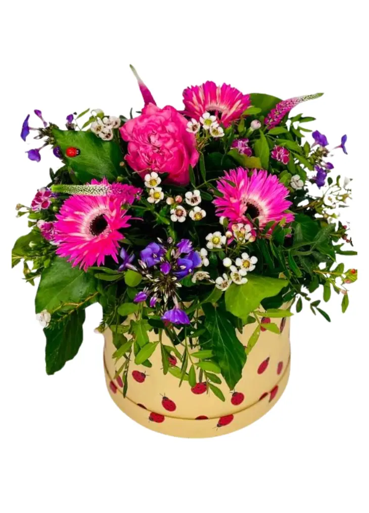 Hot Pink Mothers Day Hatbox Hot Pink Mothers Day Hatbox