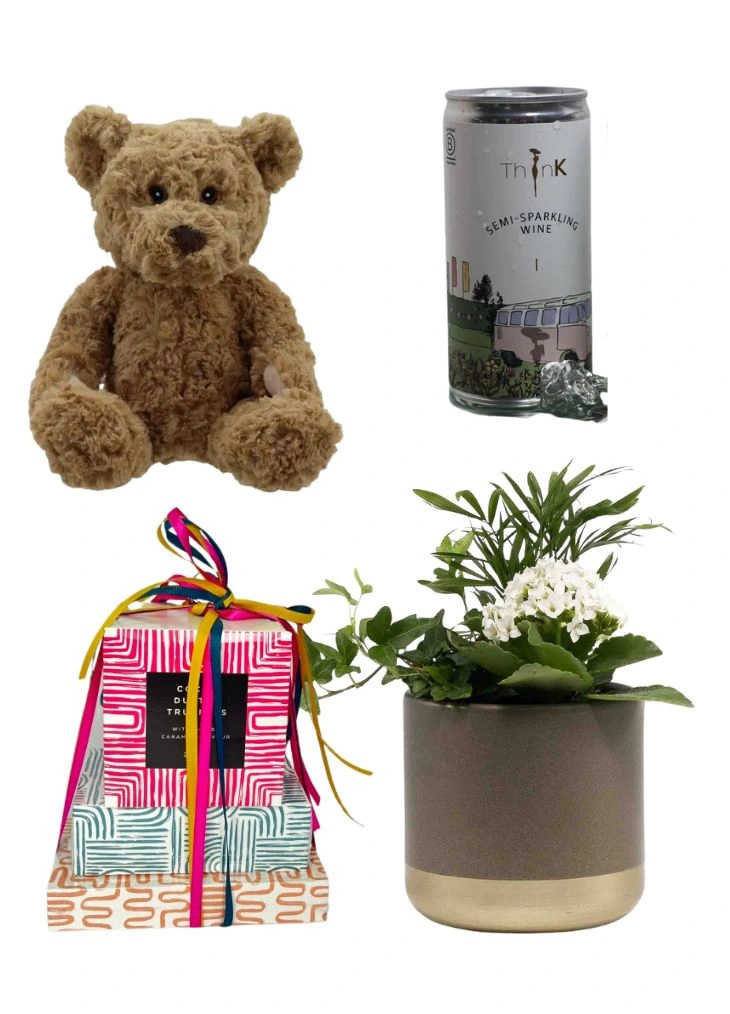 Indoor Planter in Ceramic Pot Gift Set Indoor Planter in Ceramic Pot Gift Set