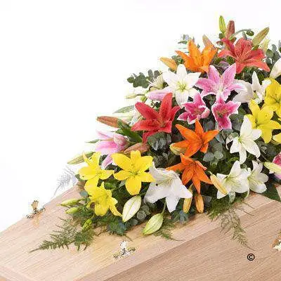 Lily Casket Spray - Mixed Colours Lily Casket Spray - Mixed Colours