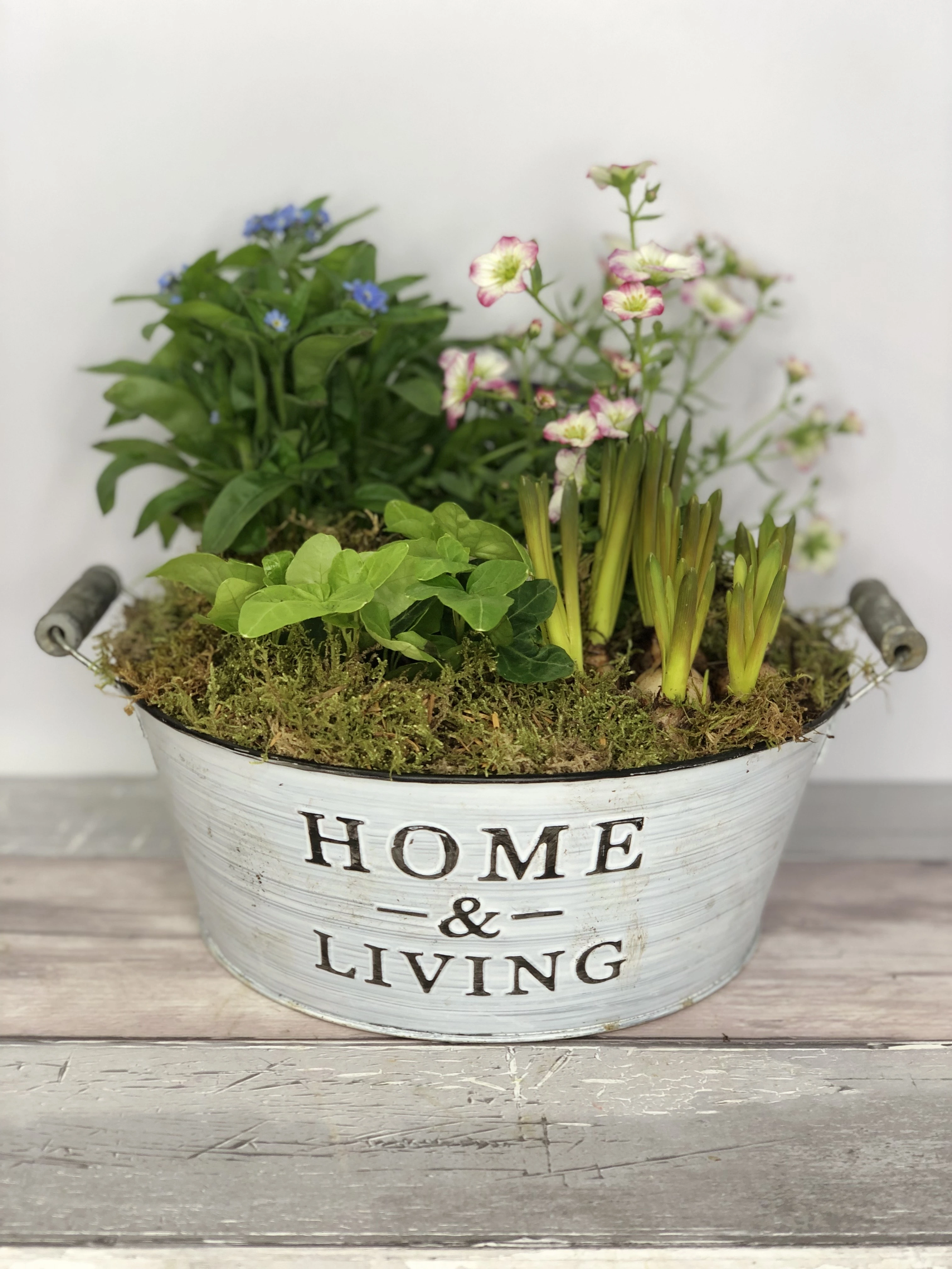 Mothers Day Planted Tin Arrangement