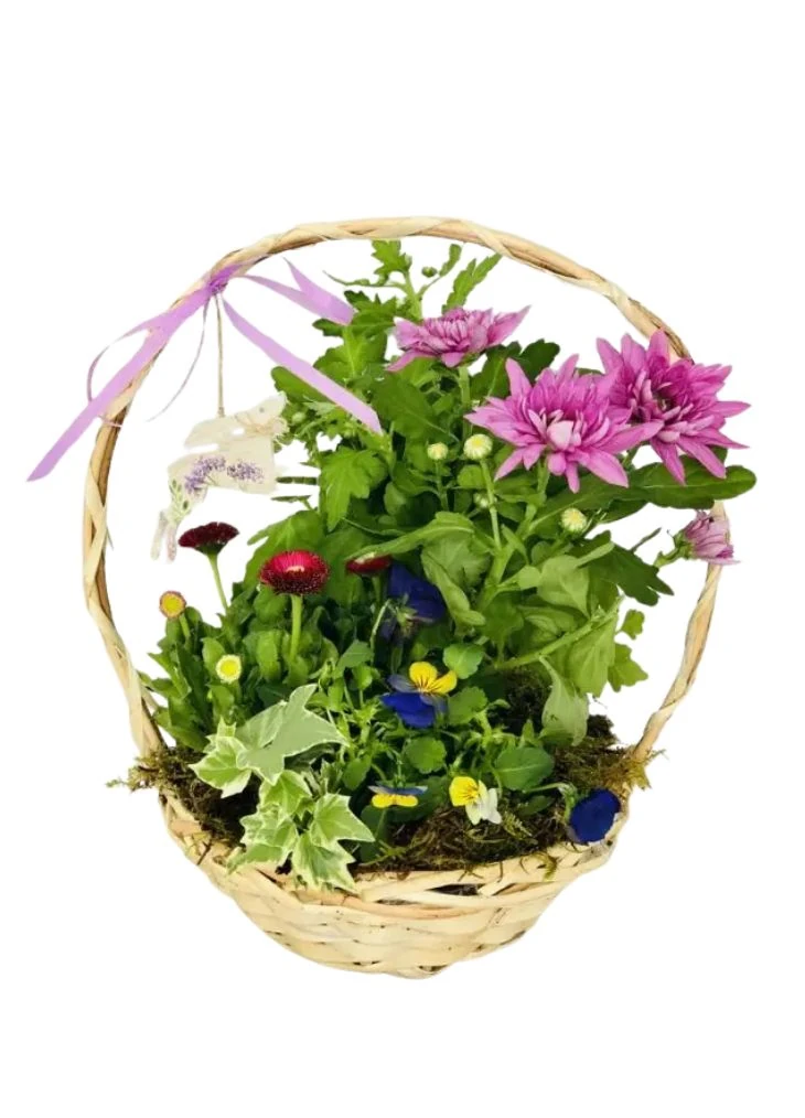 Mothers Day Spring Planted Basket