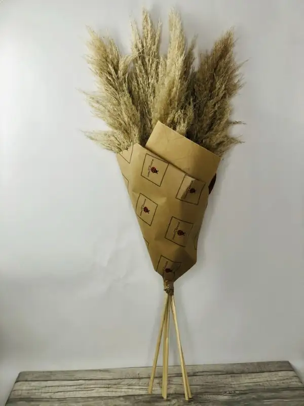 Natural Dried Fluffy Pampas Grass Natural Dried Fluffy Pampas Grass