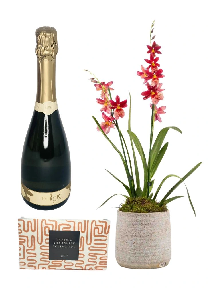 Orchid Plant For Home Gift Set Orchid Plant For Home Gift Set