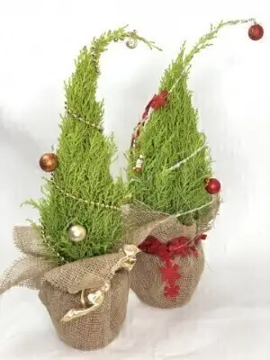 Pair of Grinch Christmas Trees