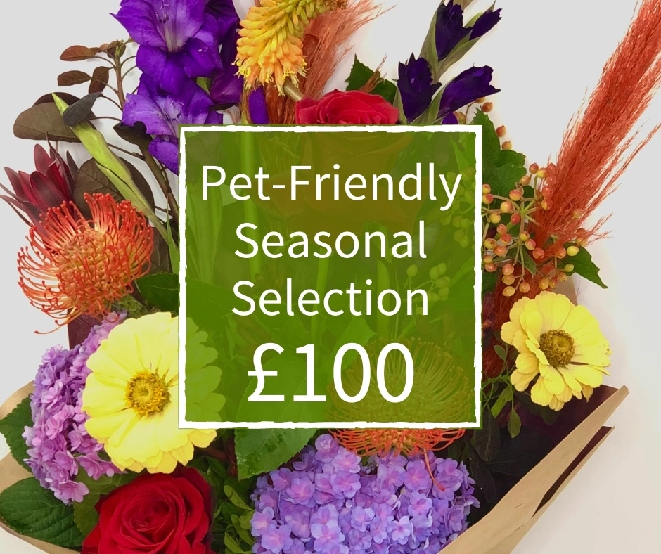 Pet Friendly Florist Choice 100 Handtied Bouquet