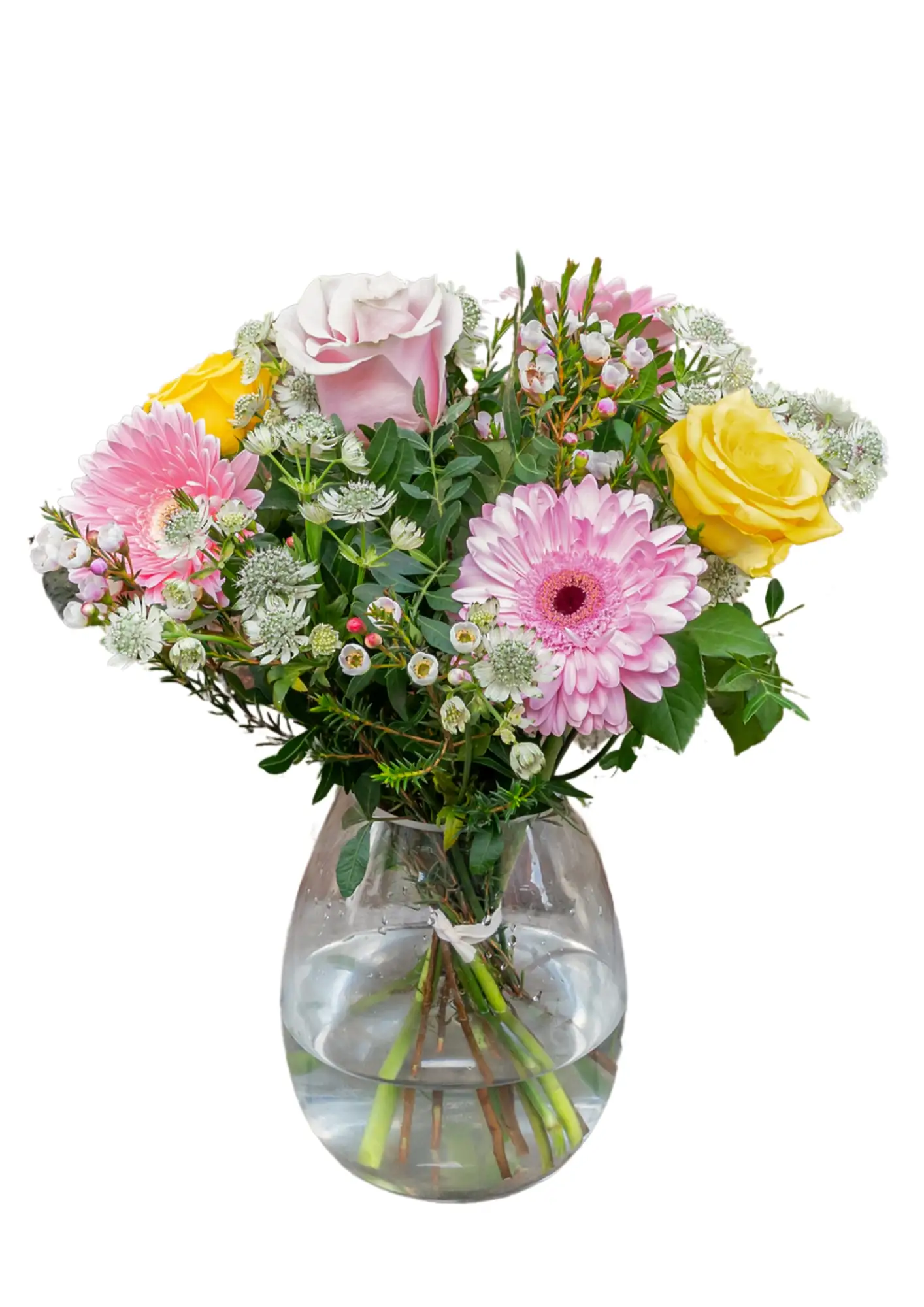 Pet Friendly Flowers in a Vase