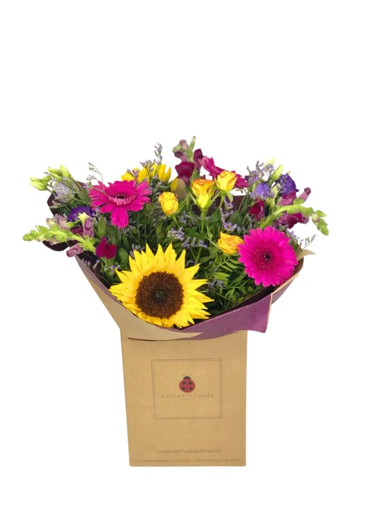 Pet Friendly Sunflower Sensation Bouquet Pet Friendly Sunflower Sensation Bouquet