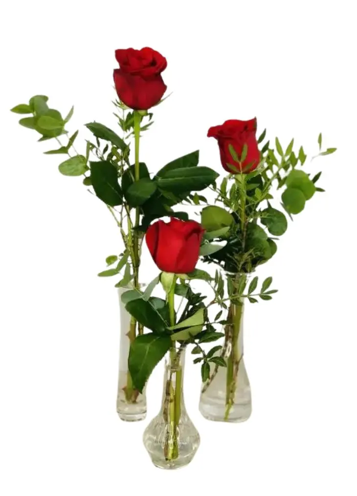 Red roses delivery Liverpool