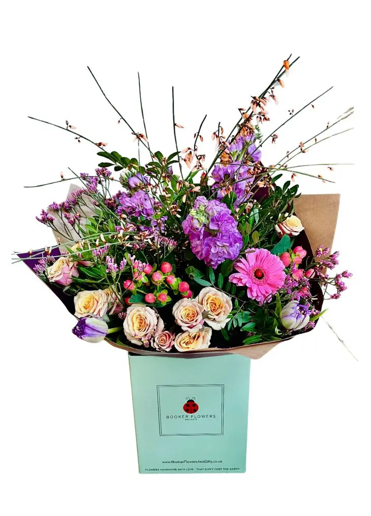 Spring Purple Kisses and Sunshine