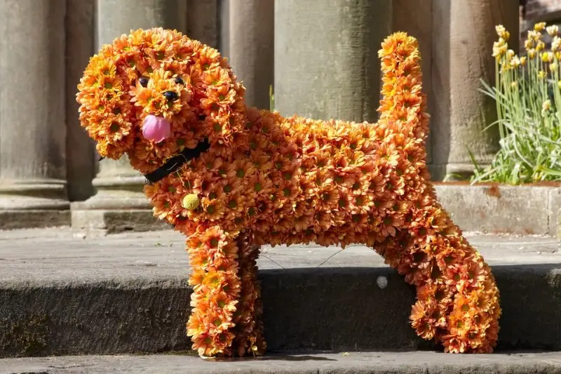 Standing Dog Funeral Tribute