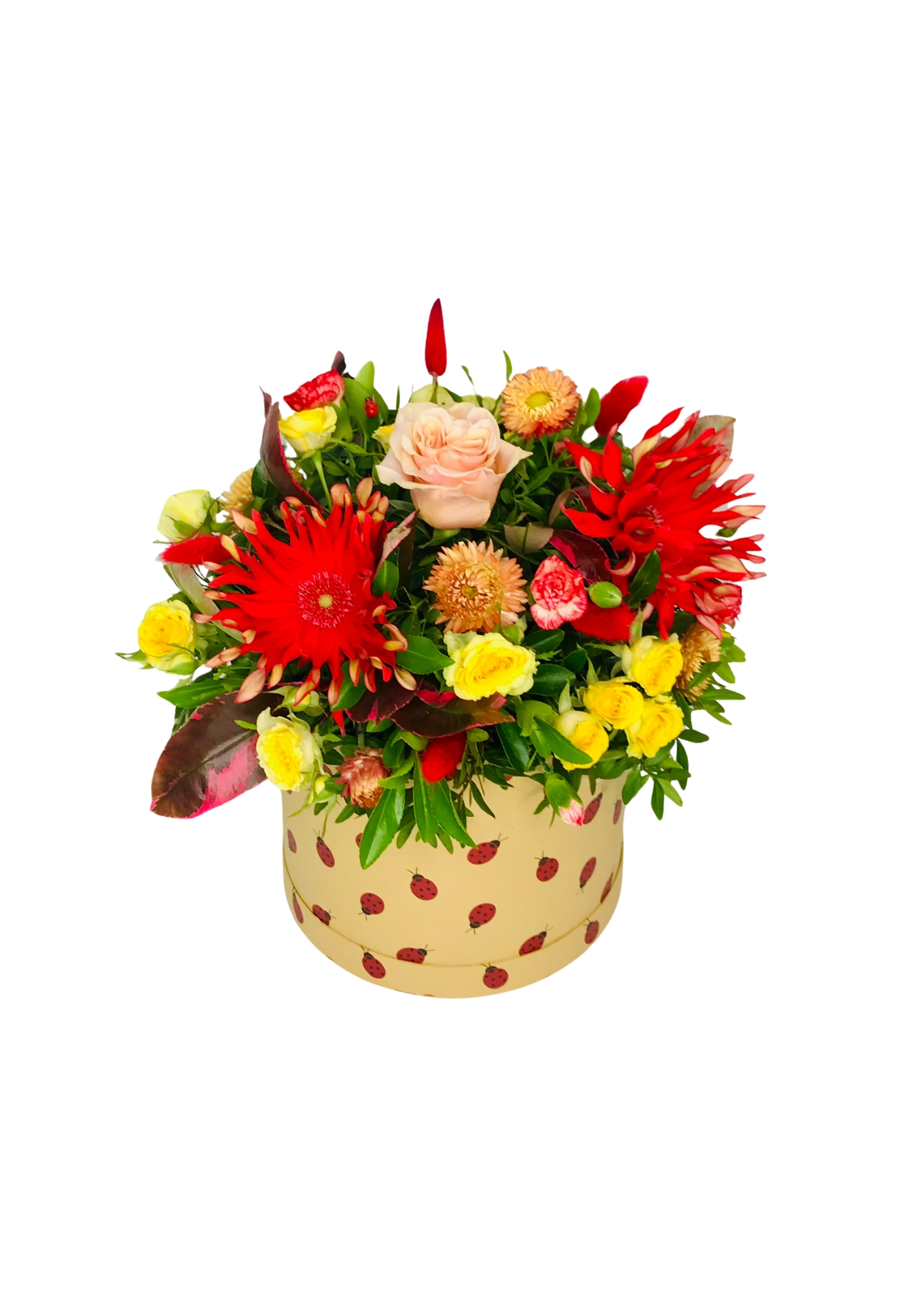 Summer Sizzle Ladybird Hatbox Arrangement Summer Sizzle Ladybird Hatbox Arrangement